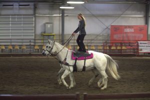 2025 Forest County 4-H Horse Fun Show
