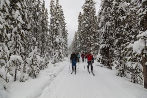 Silent Sports in Forest County