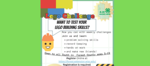 Lego Challenge 4-H Project