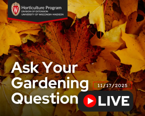 Ask Your Gardening Question Live – November