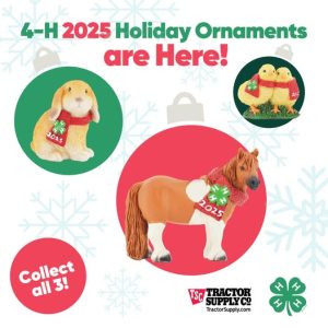 4-H 2025 Holiday Ornaments at Tractor Supply