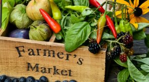 Ask Your Gardening Question Live