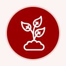 Big 3 Apple Insect Webinar Series