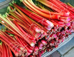 Rhubarb: Not Just Your Grandma’s Favorite Plant