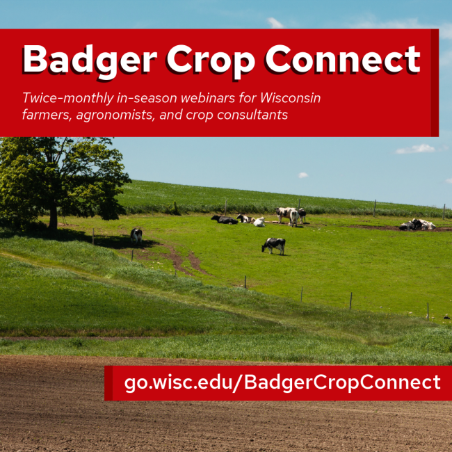 Badger Crop Connect